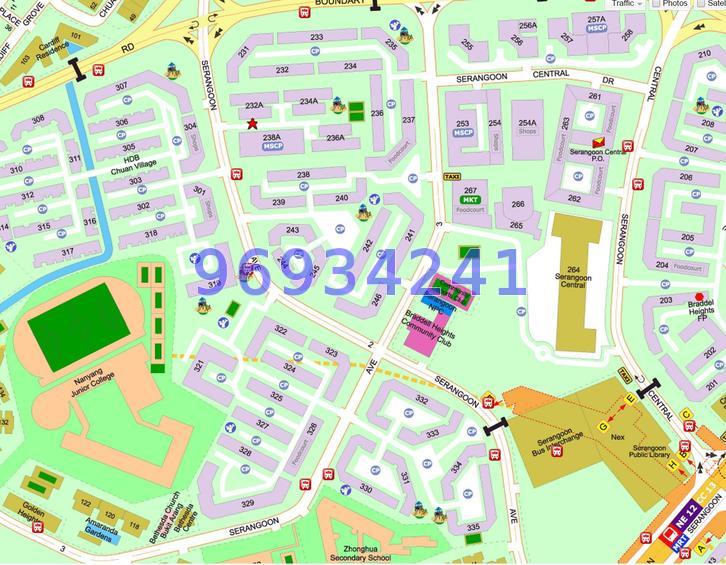 Blk 232A Serangoon Avenue 2 (Serangoon), HDB Executive #72741571